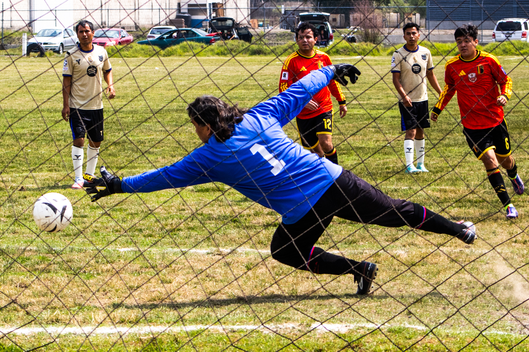 _MG_8108.jpg